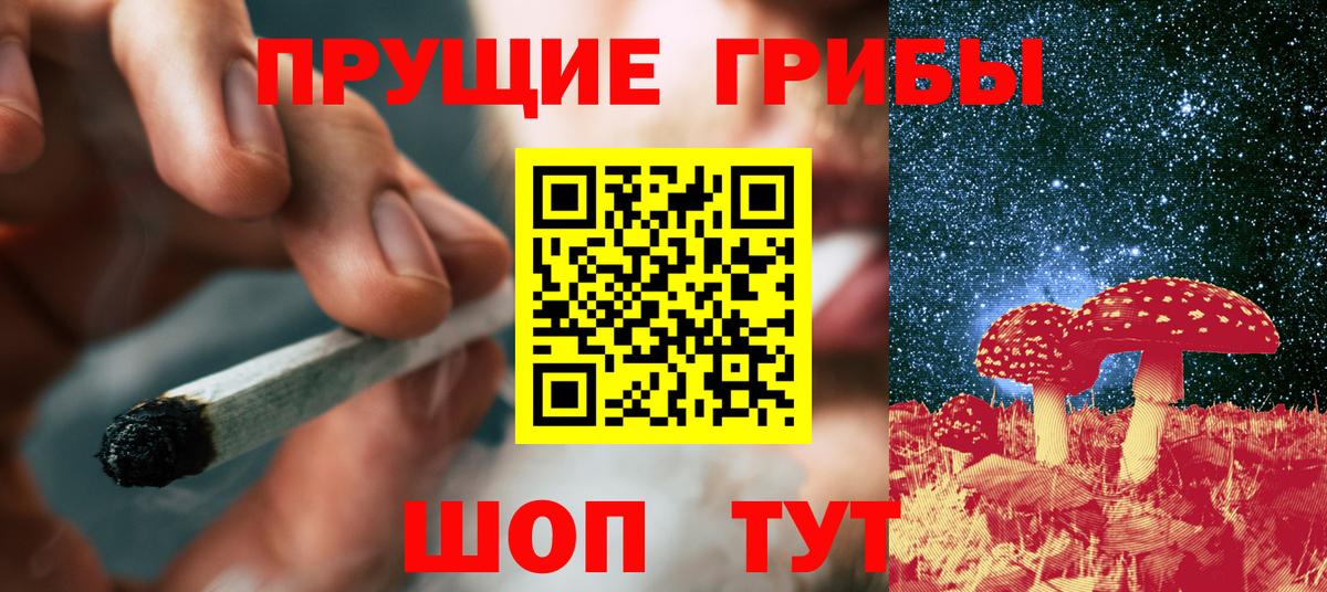 Новоалександровск  Галлюциногенные грибы мухоморы  Вход с VPN 