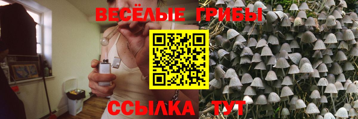 Галлюциногенные грибы MAGIC MUSHROOMS Новоалександровск